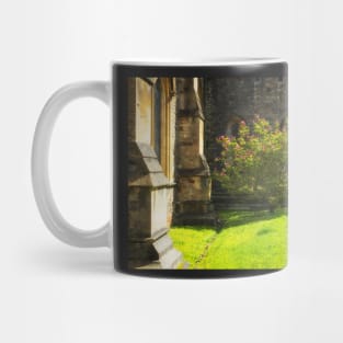 Springtime in Llandaff Mug